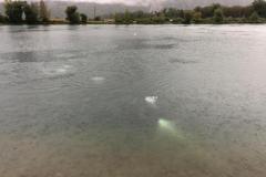 IMG-20201003-WA0043