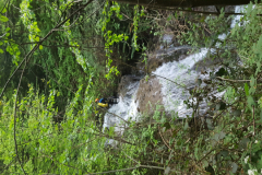 20180425_193641