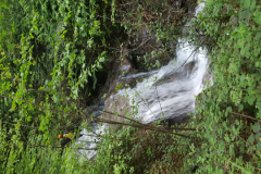 20180425_193939