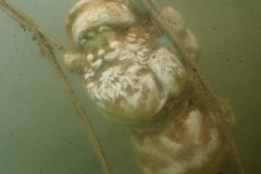 P3290048