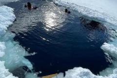 IMG-20240317-WA0076